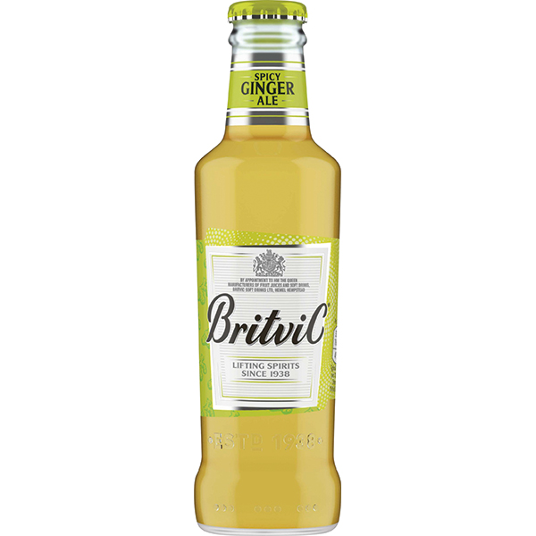 BRITVIC GINGER ALE 200X24